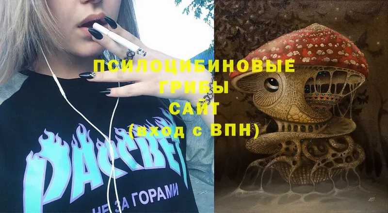 Галлюциногенные грибы Cubensis  где продают наркотики  Волжский 